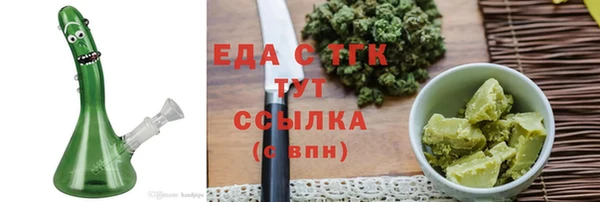 хмурый Алексин