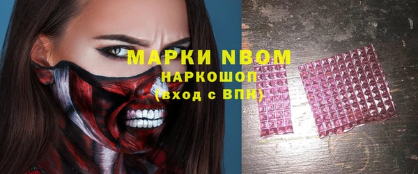 хмурый Алексин