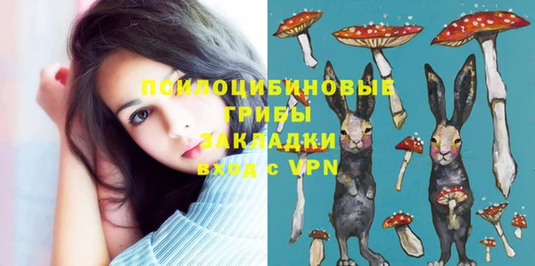 не бодяженный Абаза