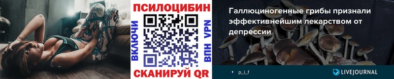 хочу   Якутск  Галлюциногенные грибы мицелий 